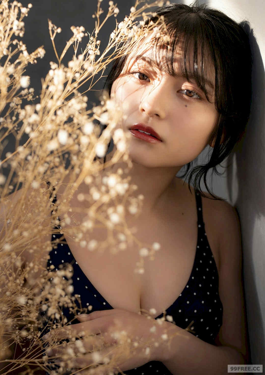 第5张