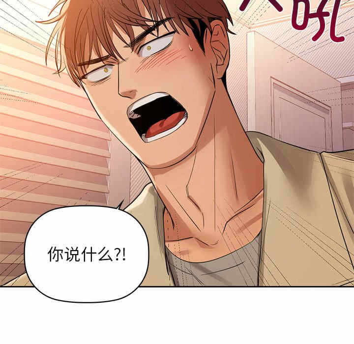 第7张