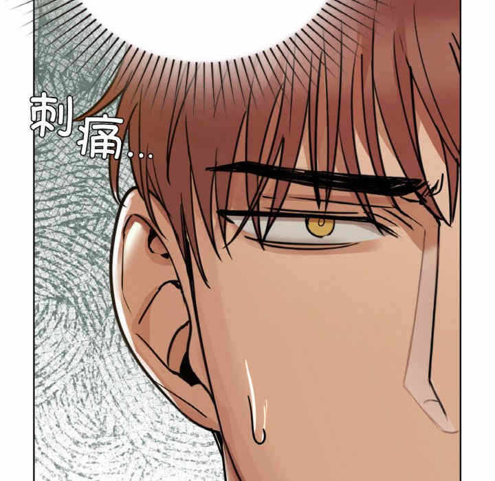 第93张