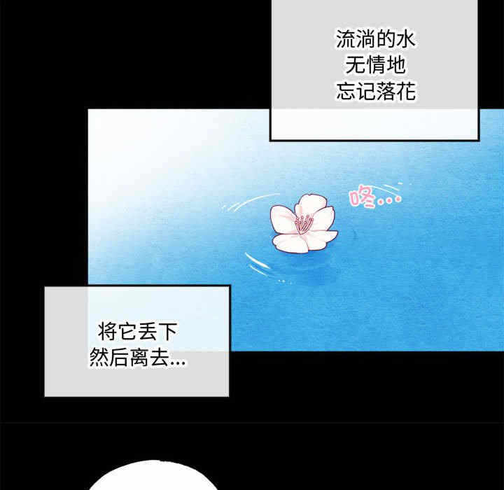 第96张