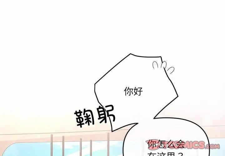 第5张