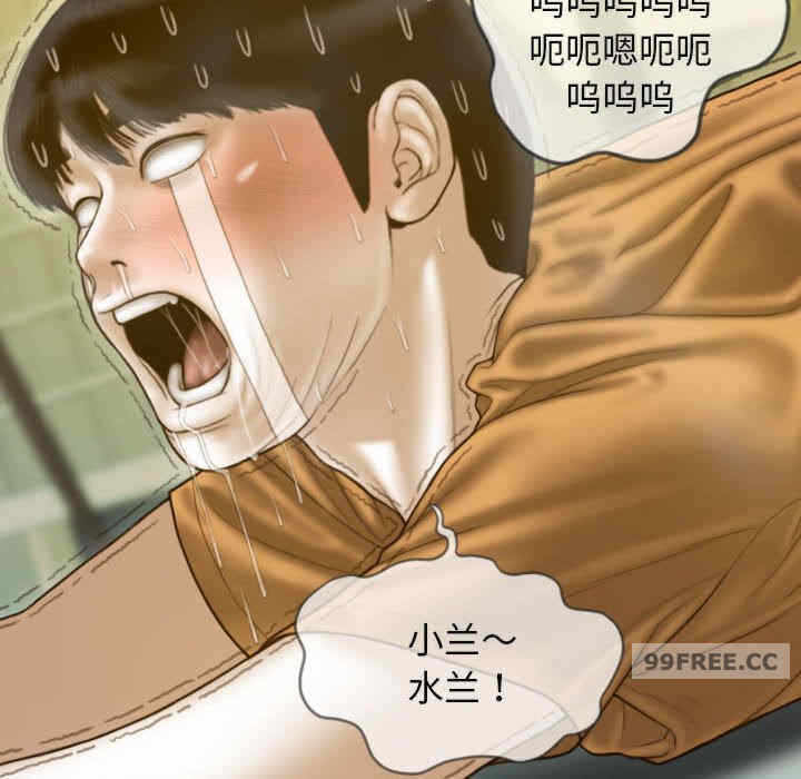 第41张