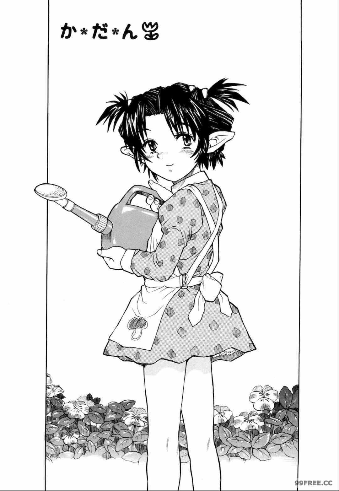 第13张