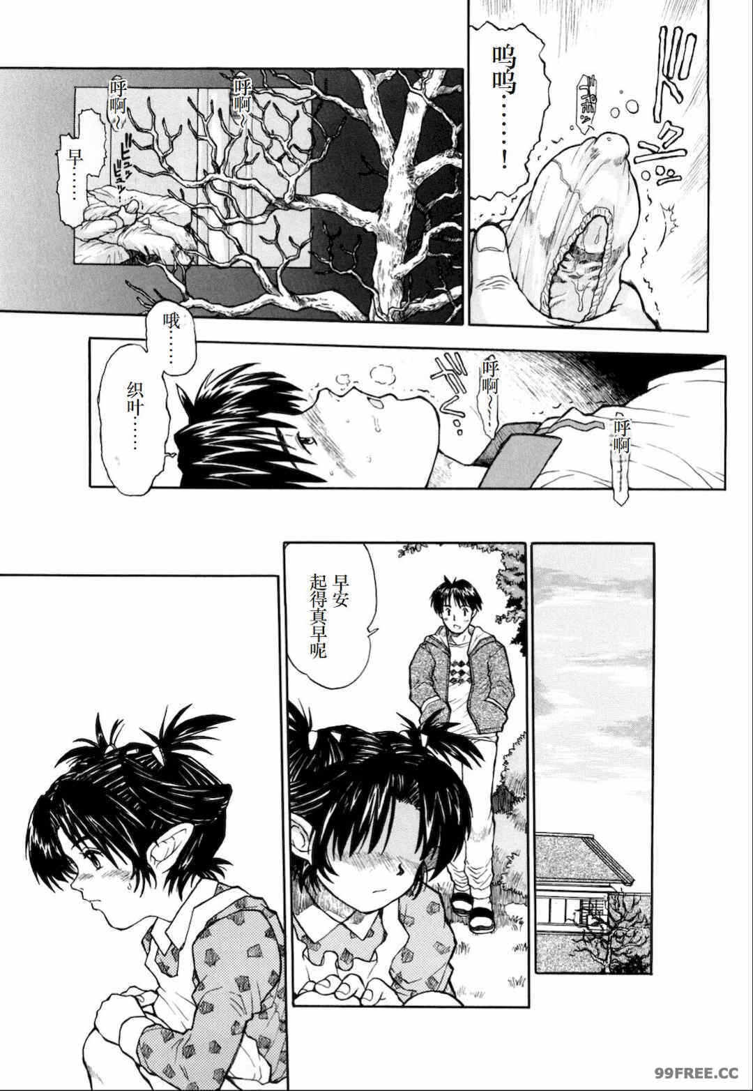 第17张