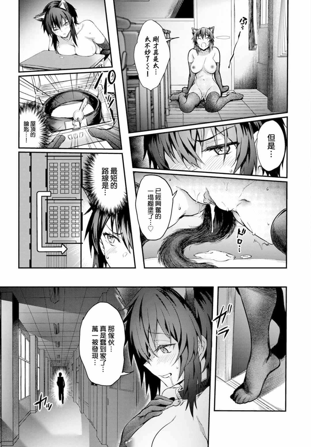 第19张