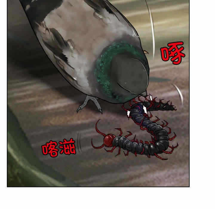 第80张