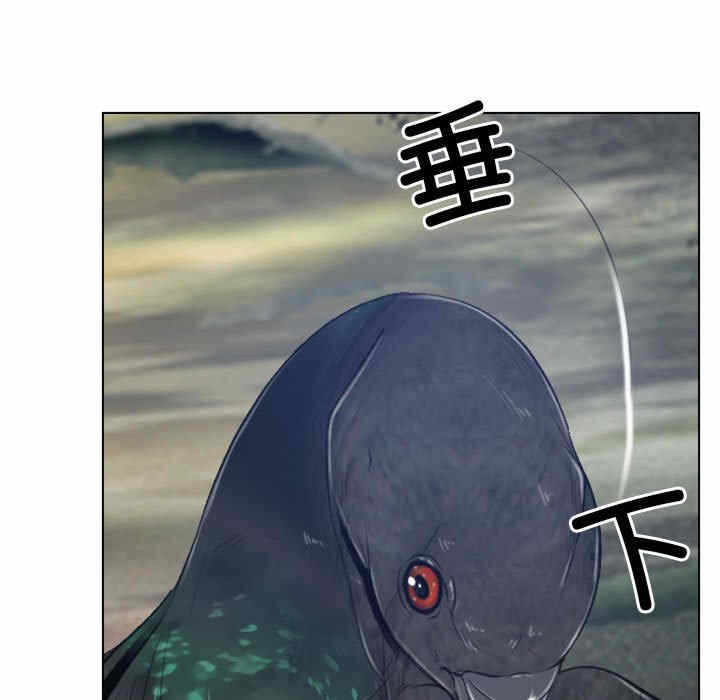 第29张