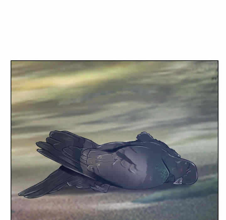 第39张