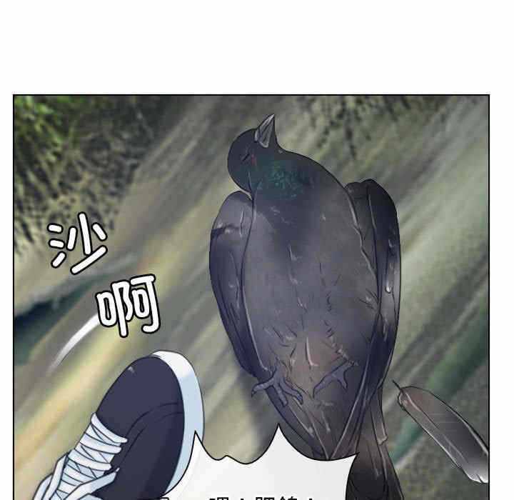 第53张