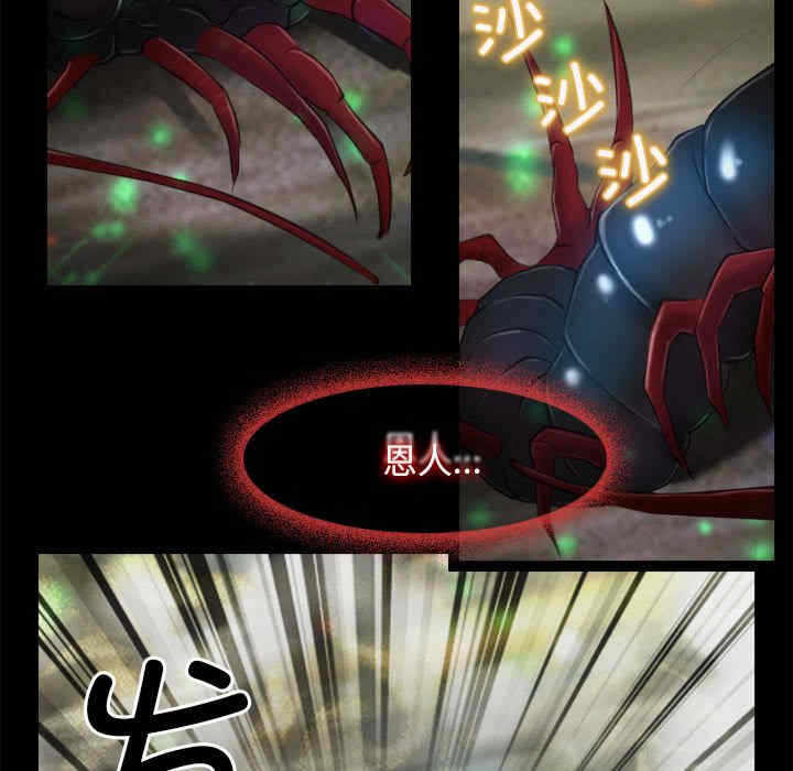 第97张