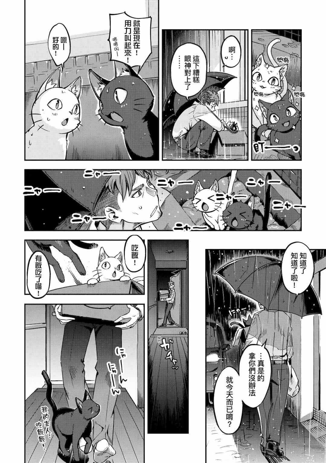 第19张