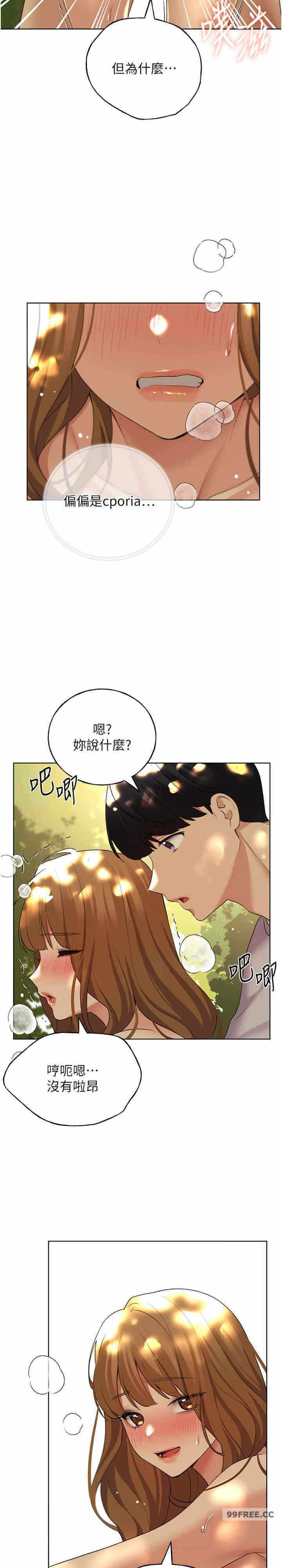 第25张