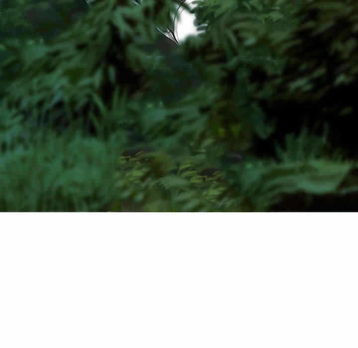 第5张