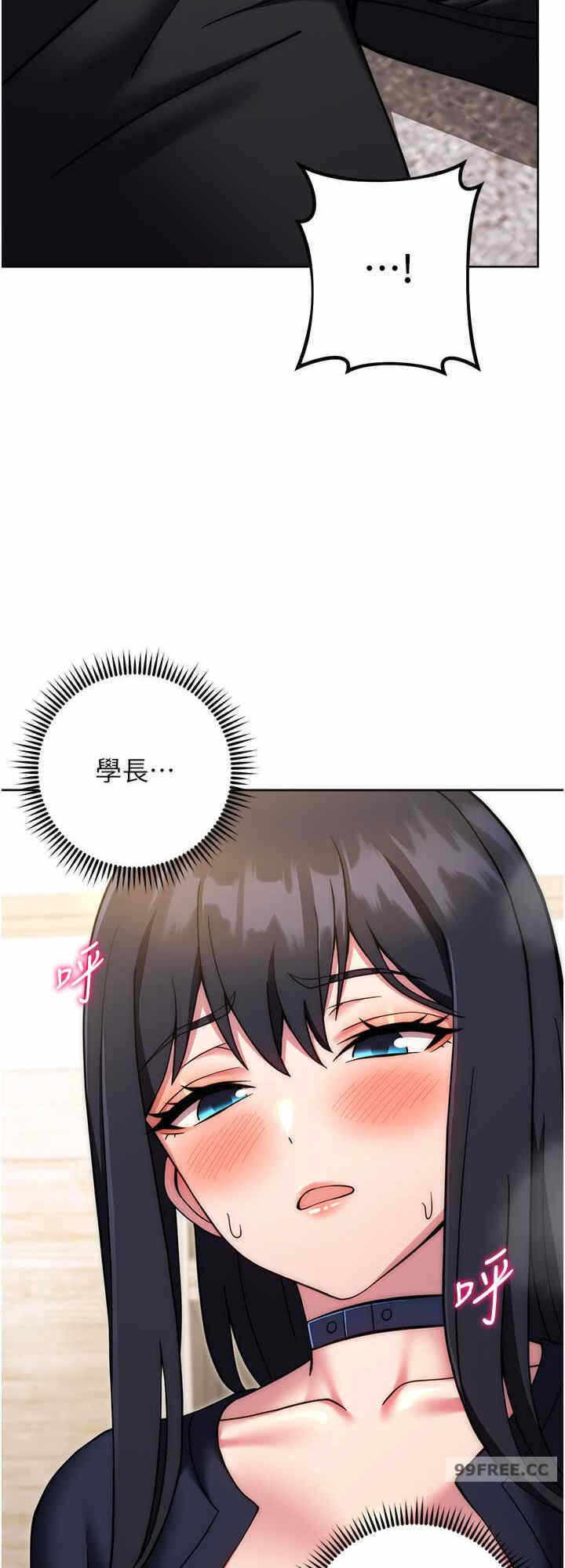 第24张