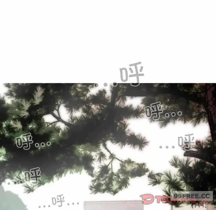 第48张