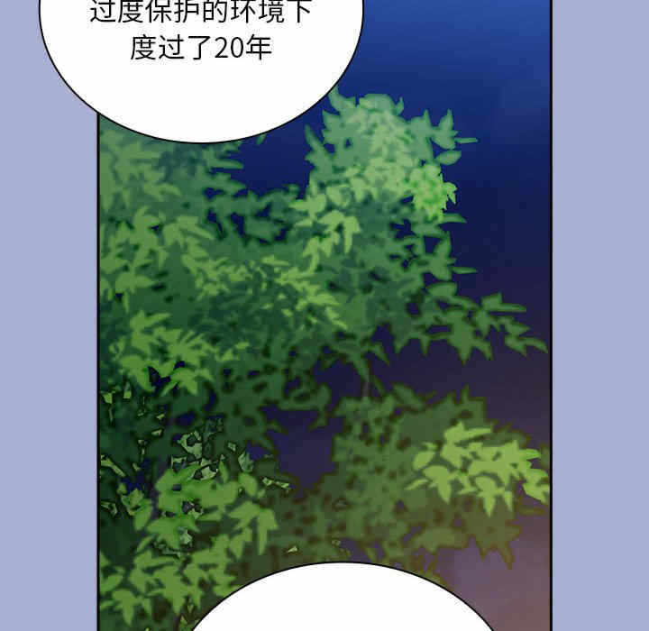 第36张