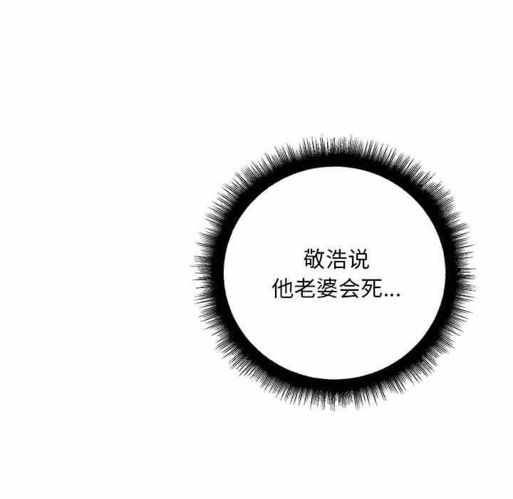 第12张