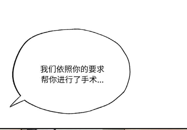 第6张