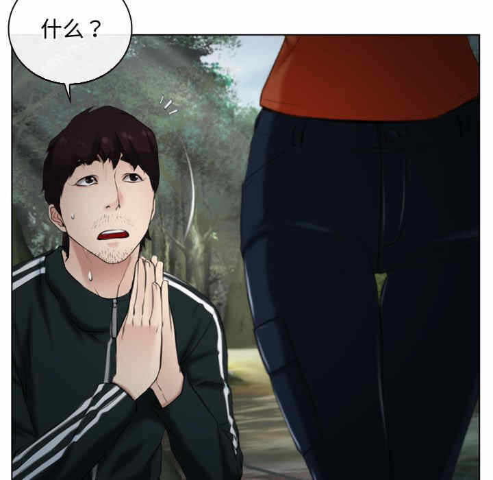 第17张