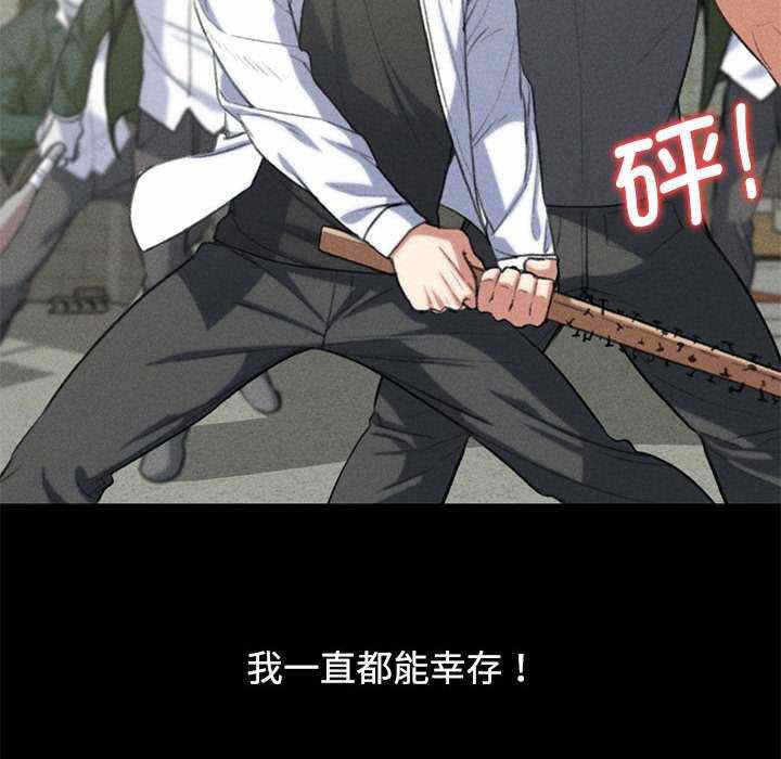 第13张