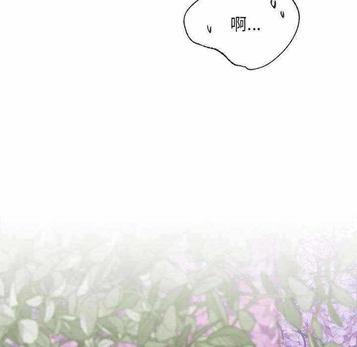 第133张