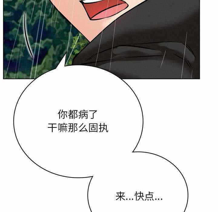 第81张