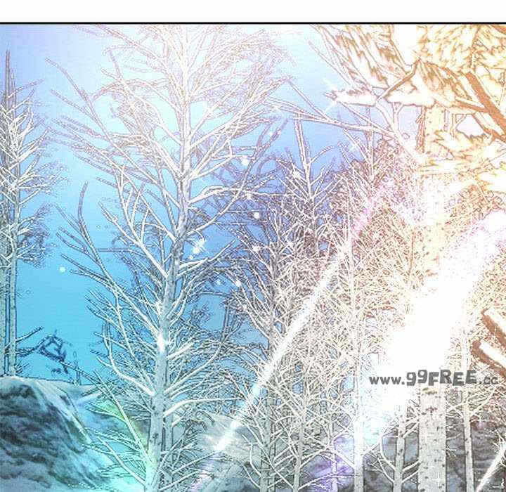 第42张