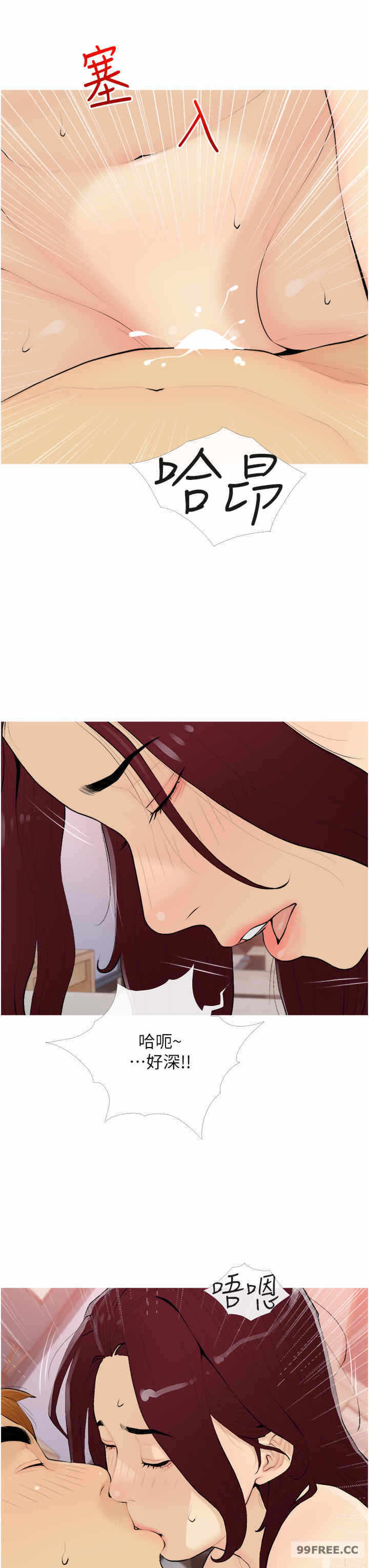 第3张