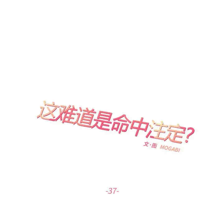 第28张