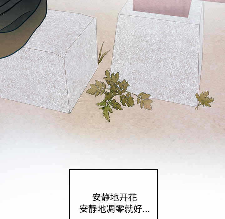 第58张