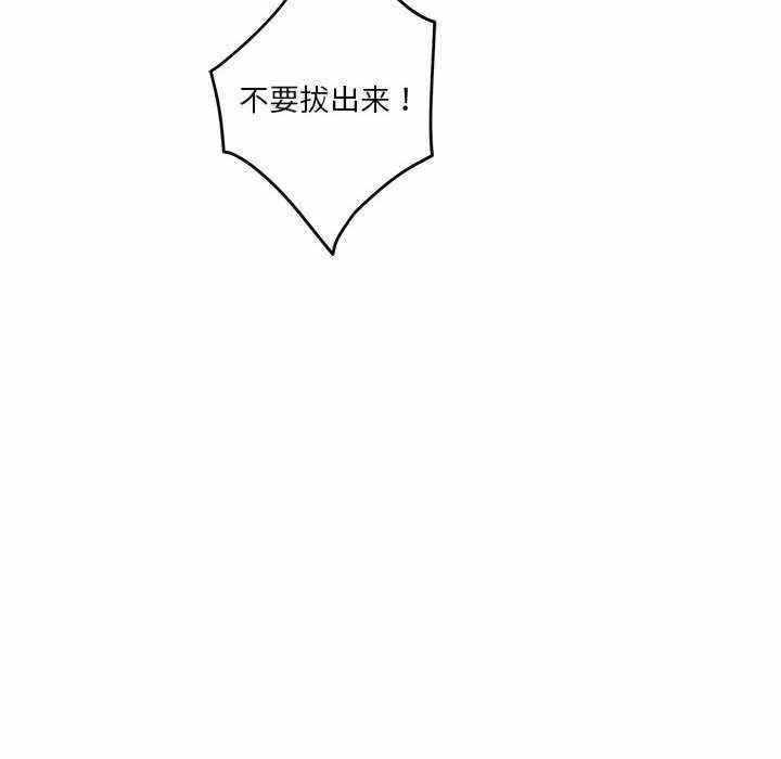 第42张