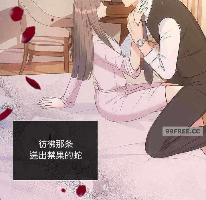 第34张