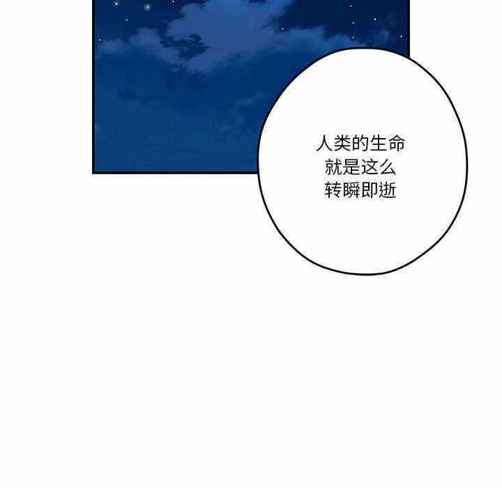 第167张