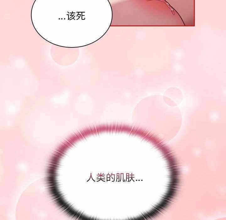 第16张