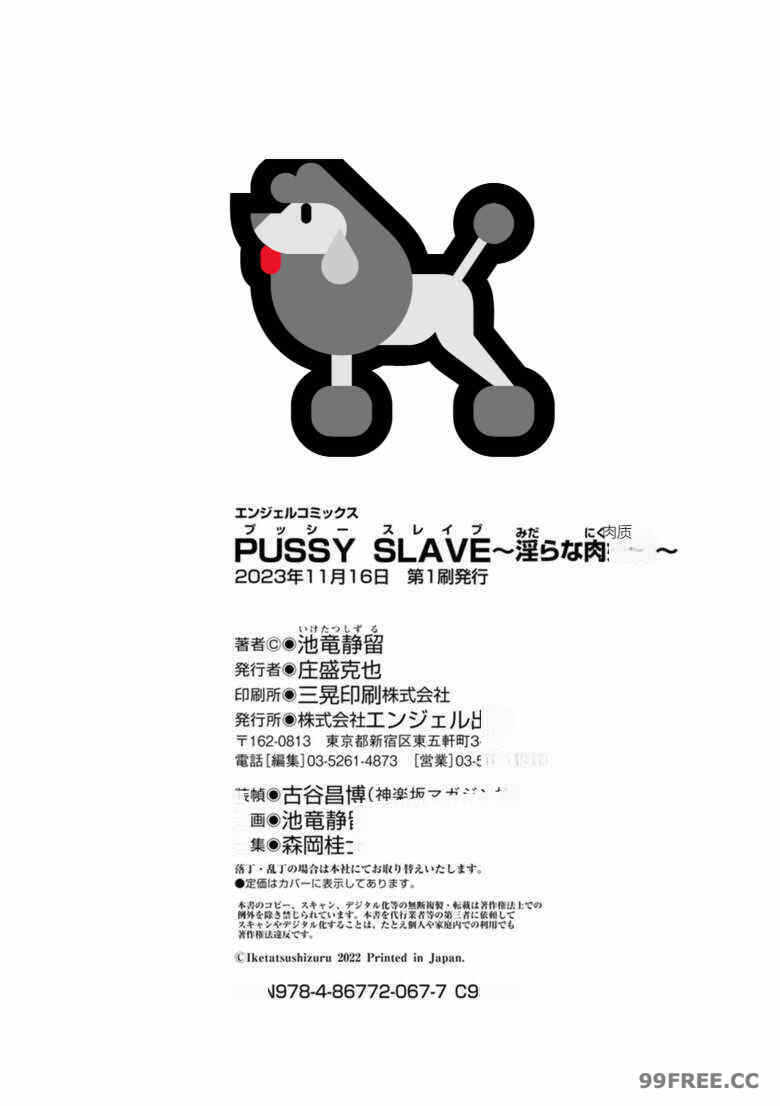 第16张