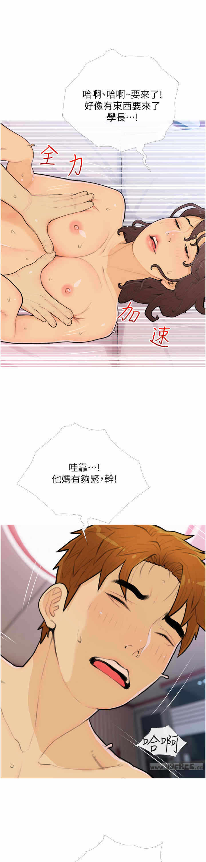 第17张