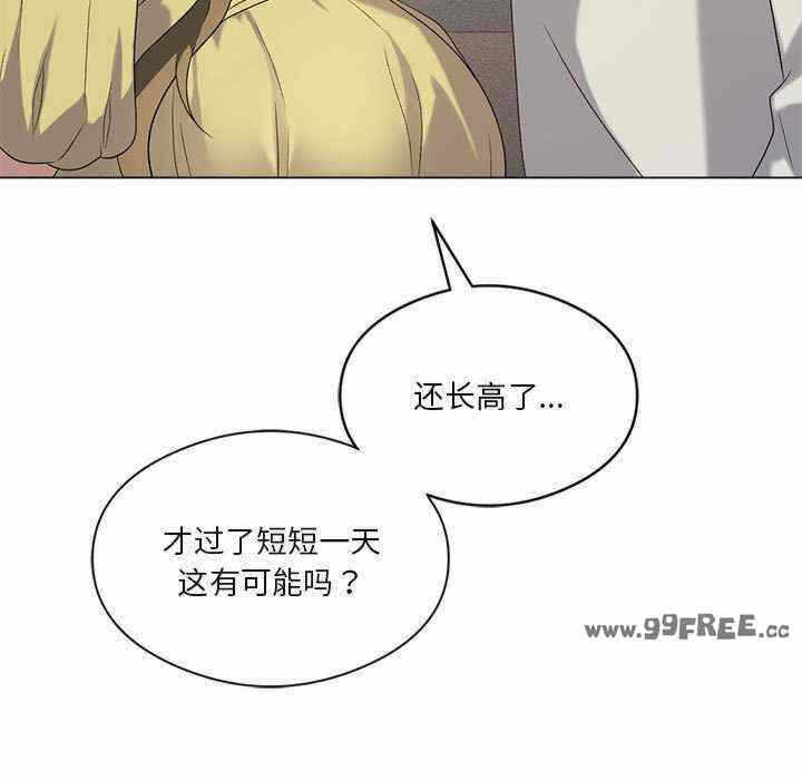 第48张
