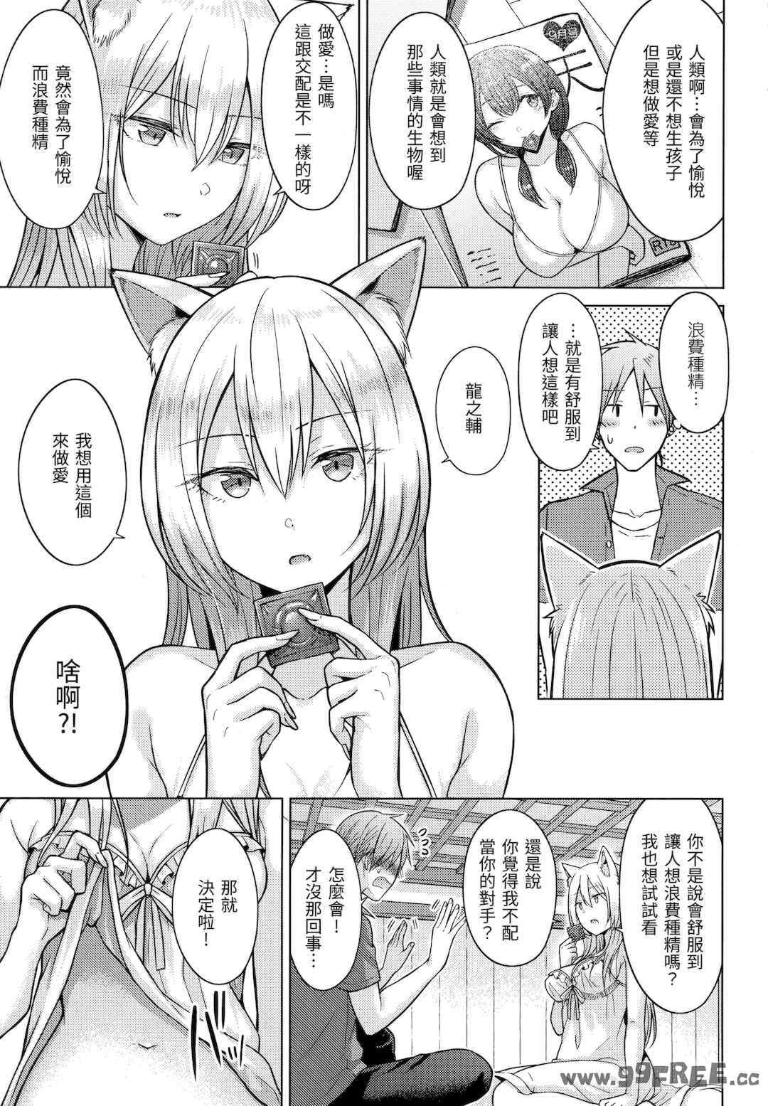 第19张