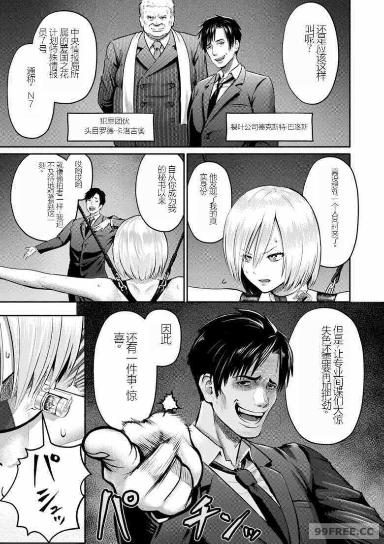 第17张