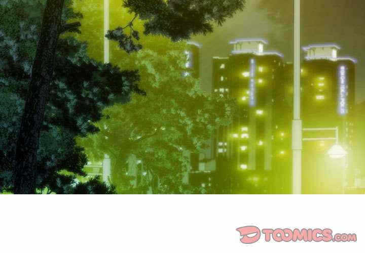 第6张