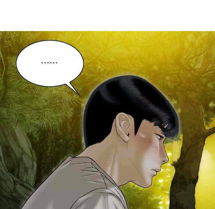 第43张