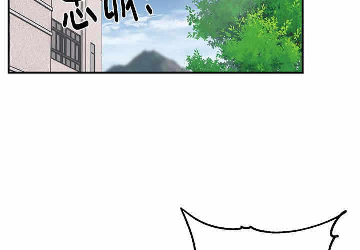 第6张