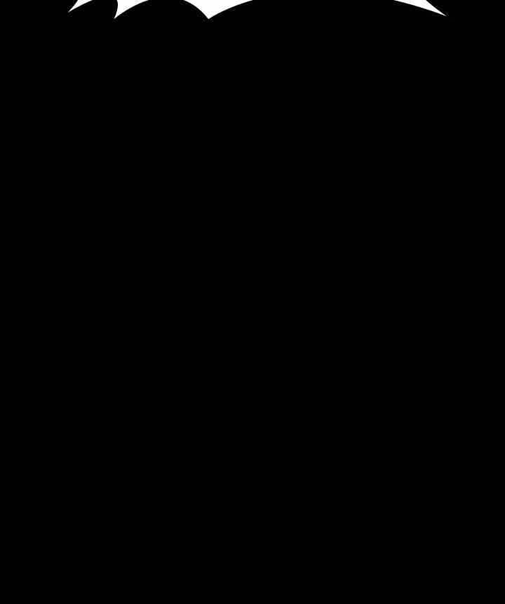第43张
