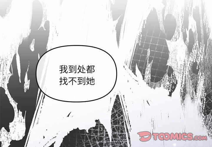 第6张
