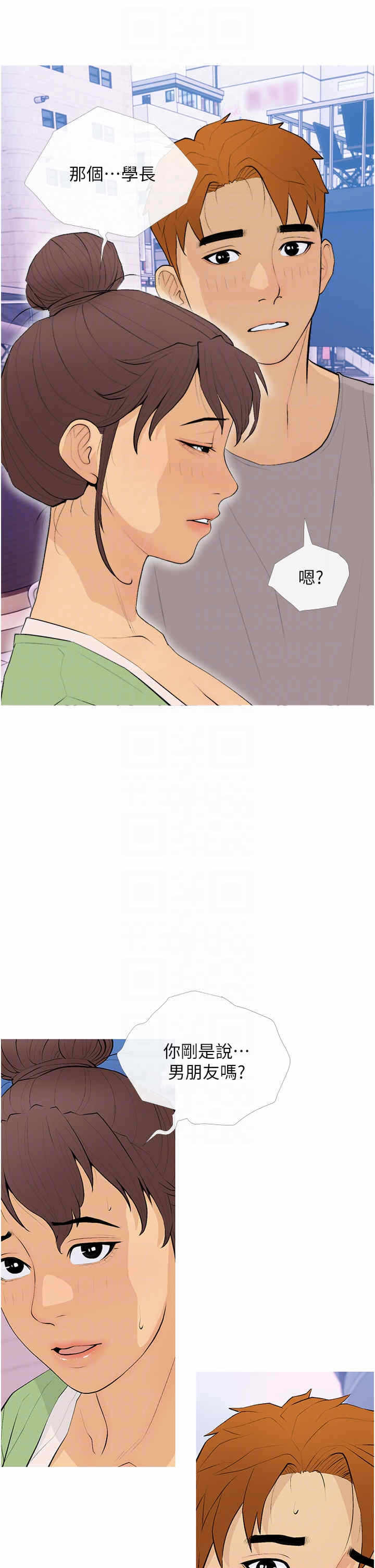 第6张