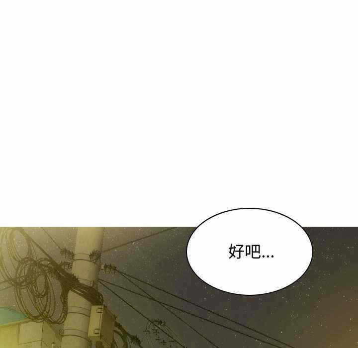 第40张