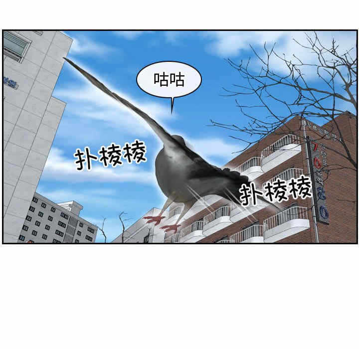第113张