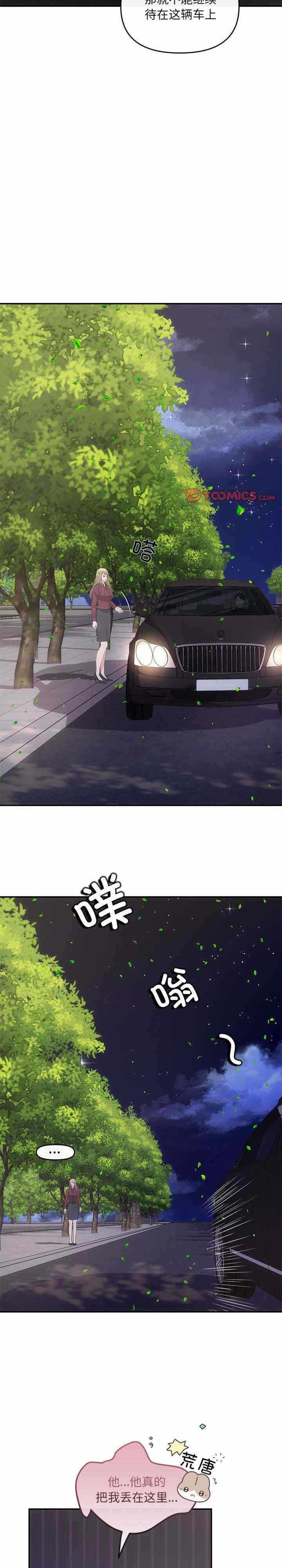 第12张