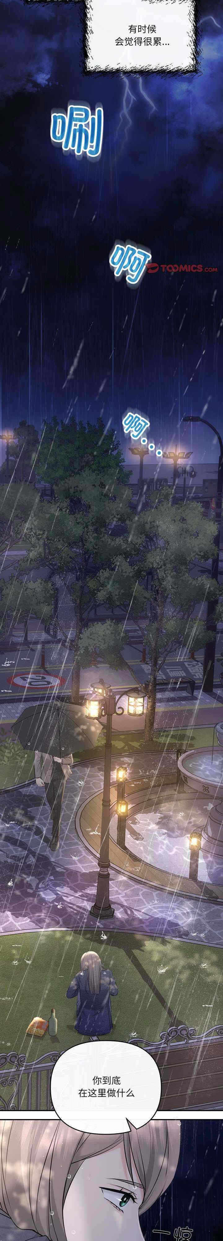 第21张