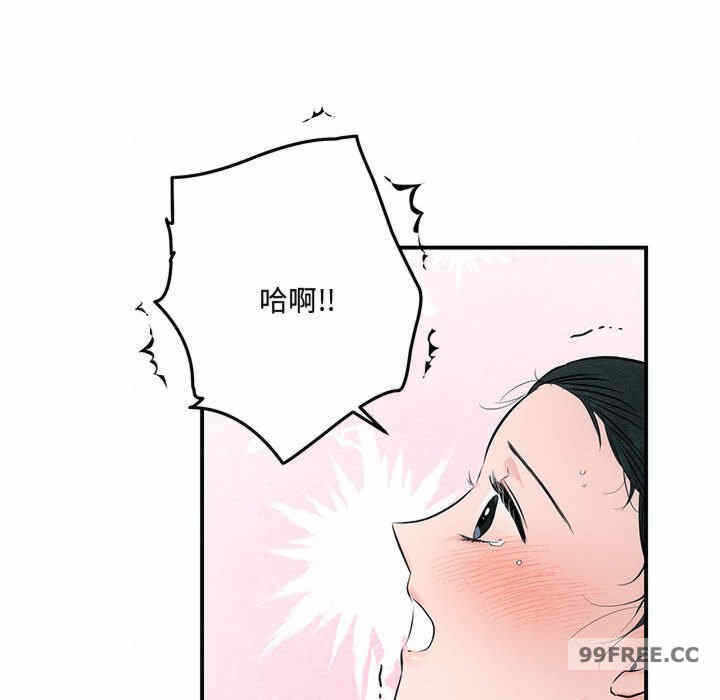 第15张